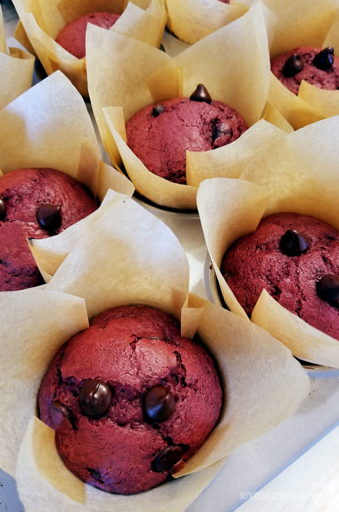 Now You're Cooking - Red Velvet Chocolate Chip Muffins